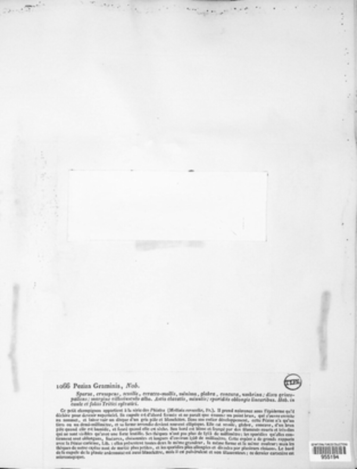 Cejpia hystrix image